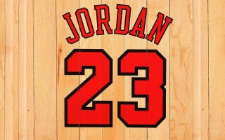 海星体育官方_青涩背影告别纽约 尼克斯发展联盟队裁撤名宿之后