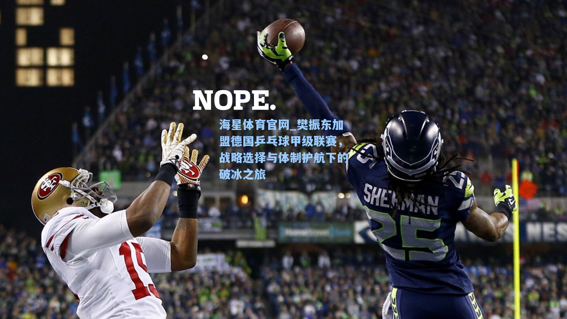 海星体育官网_樊振东加盟德国乒乓球甲级联赛，战略选择与体制护航下的破冰之旅-第3张图片-海星体育_海星体育官网_海星体育直播平台